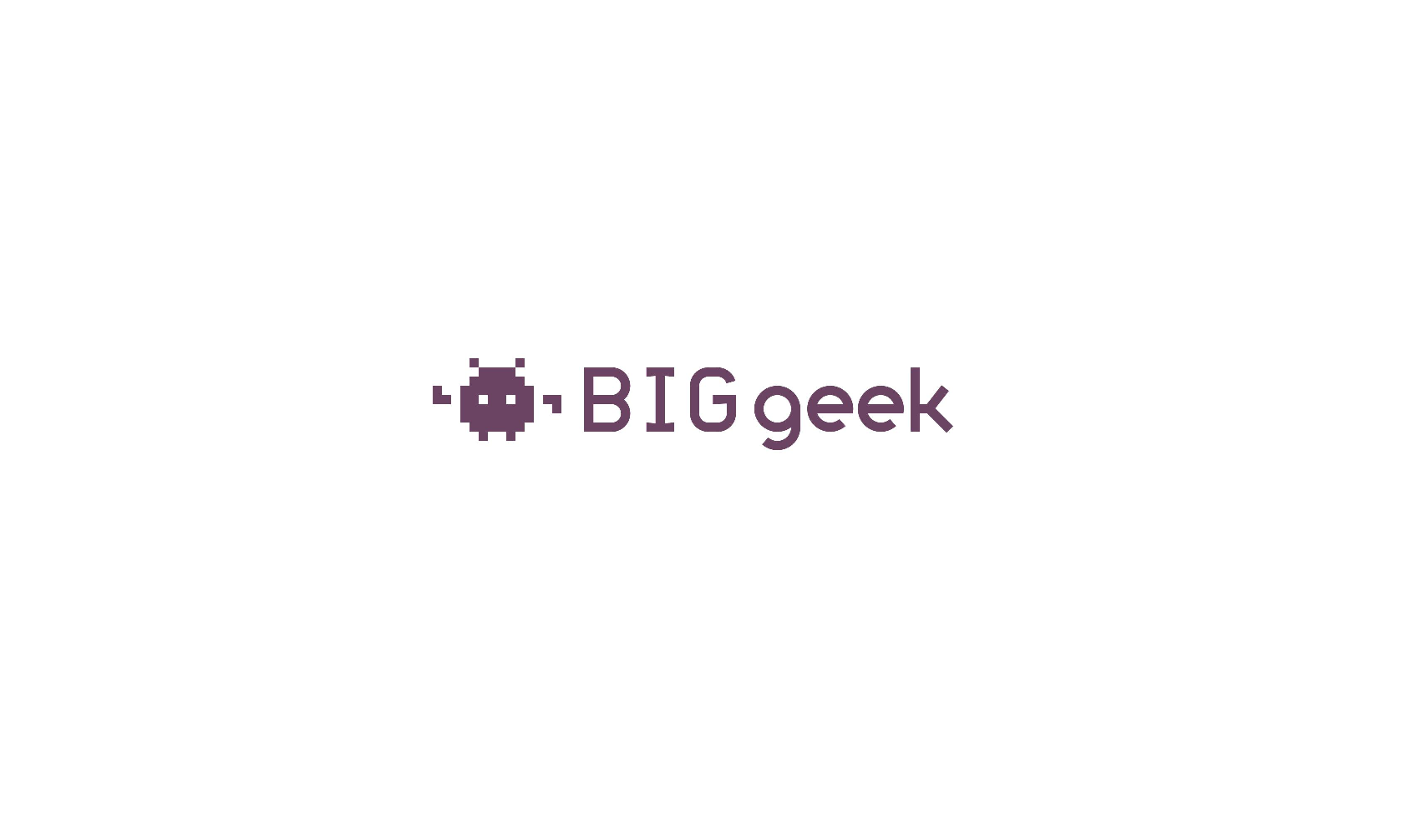 BigGeek